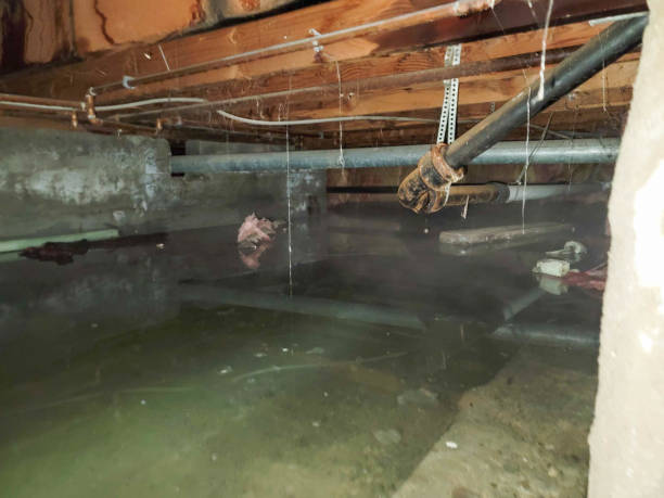 Best Ceiling water damage repair  in Riverview Rk, PA