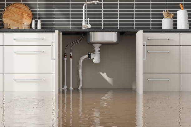 Best Commercial water damage restoration  in Riverview Rk, PA