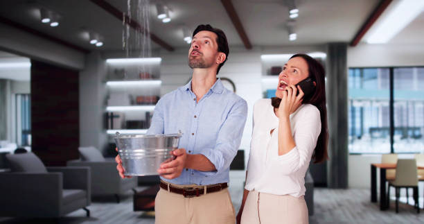 Best Local water damage restoration  in Riverview Rk, PA